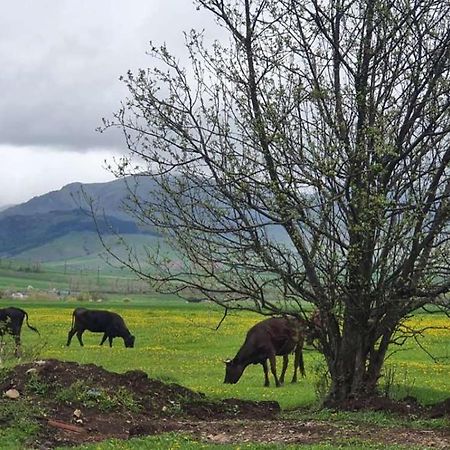 Gyulagarak Green Agarak Guest House Near Dendropark, Stepanavan מראה חיצוני תמונה